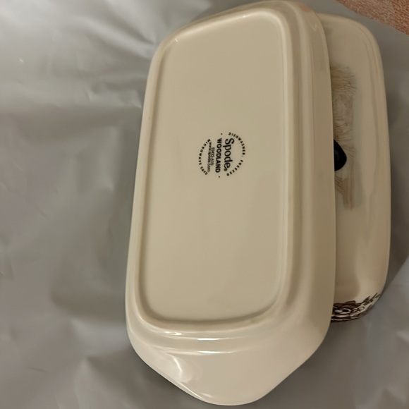 Spode Woodland - Picture 4 of 11